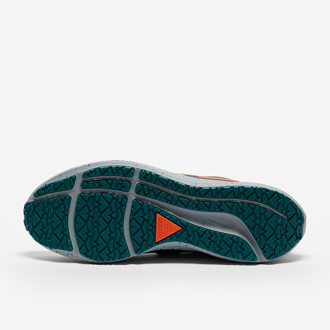 Nike Air Zoom Pegasus 39 Shield