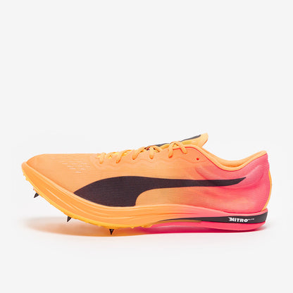 Puma evoSPEED Long Distance Nitro Elite 2 - Sun Stream-Sunset Glow
