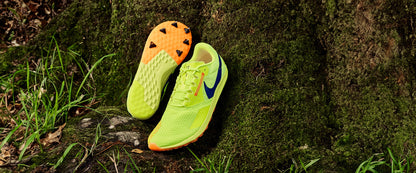 Nike Rival XC - Volt/Concord