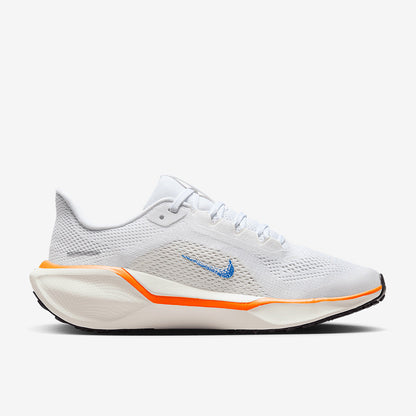 Nike Older Kids Pegasus 41 Blueprint (GS)