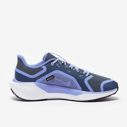 Nike Womens Pegasus 41 GORE-TEX - Cobalt Bliss/Mtlc Red Bronze