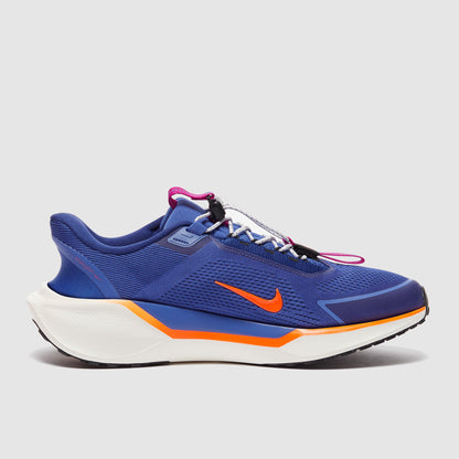 Nike Pegasus Easyon