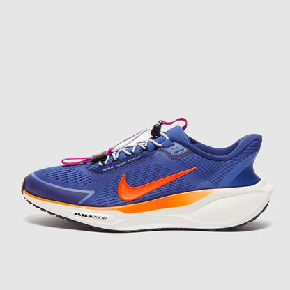 Nike Pegasus Easyon