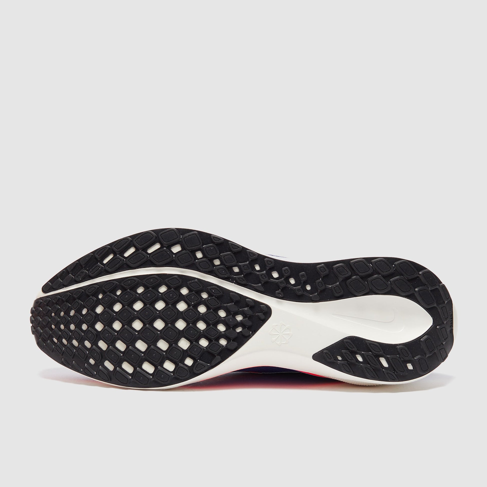 Nike Pegasus Easyon