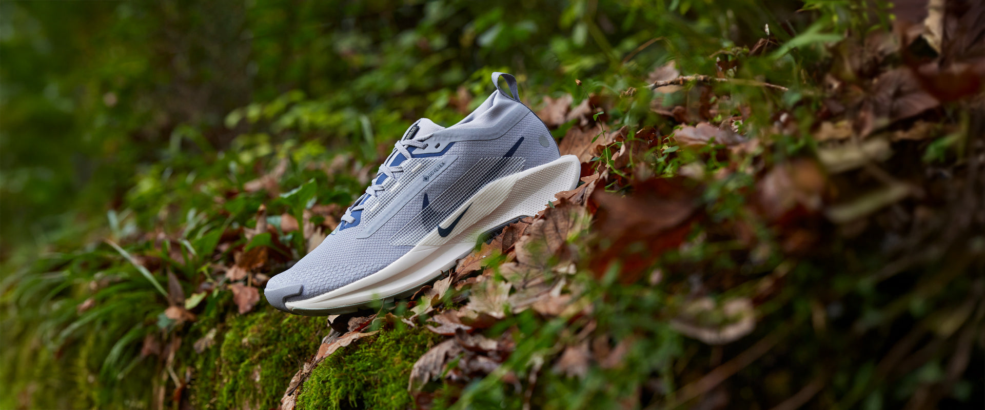 Nike Pegasus Trail 5 GORE-TEX - Cement Grey/Midnight Navy