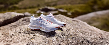 Nike Womens Pegasus Trail 5 GORE-TEX - Pure Platinum/White