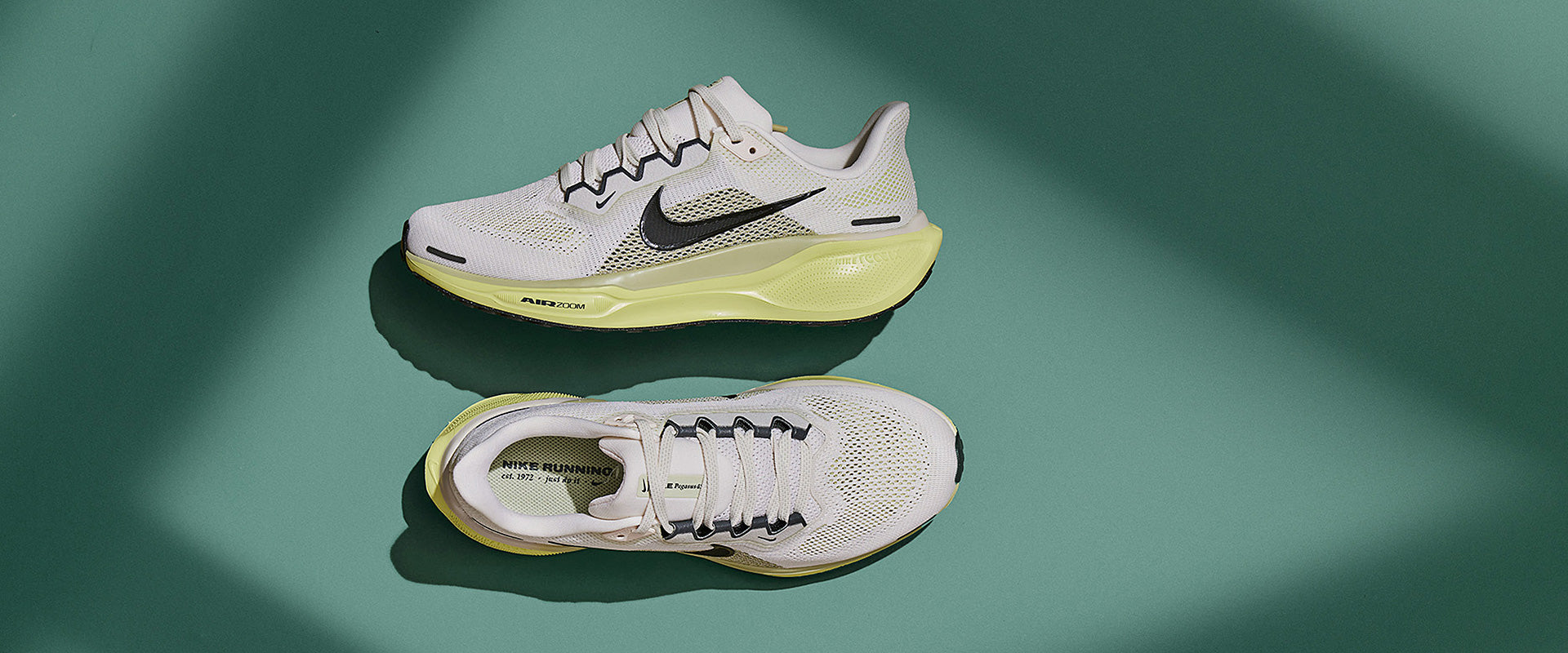 Nike Air Zoom Pegasus 41