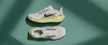 Nike Air Zoom Pegasus 41