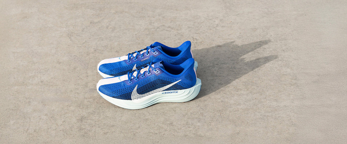 Nike Pegasus Plus