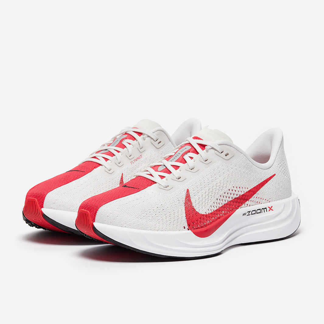 Nike Pegasus Plus