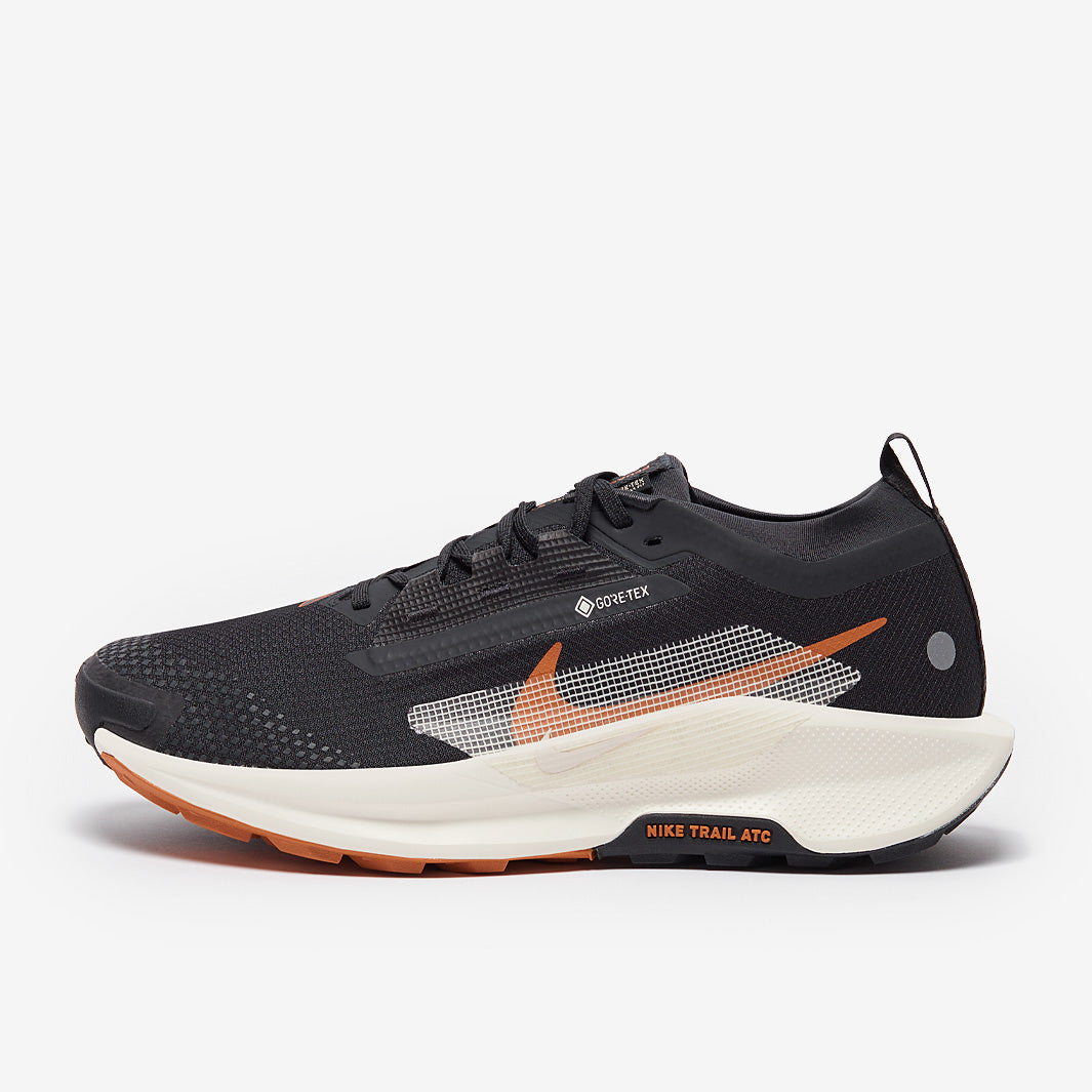 Nike Pegasus Trail 5 GORE-TEX