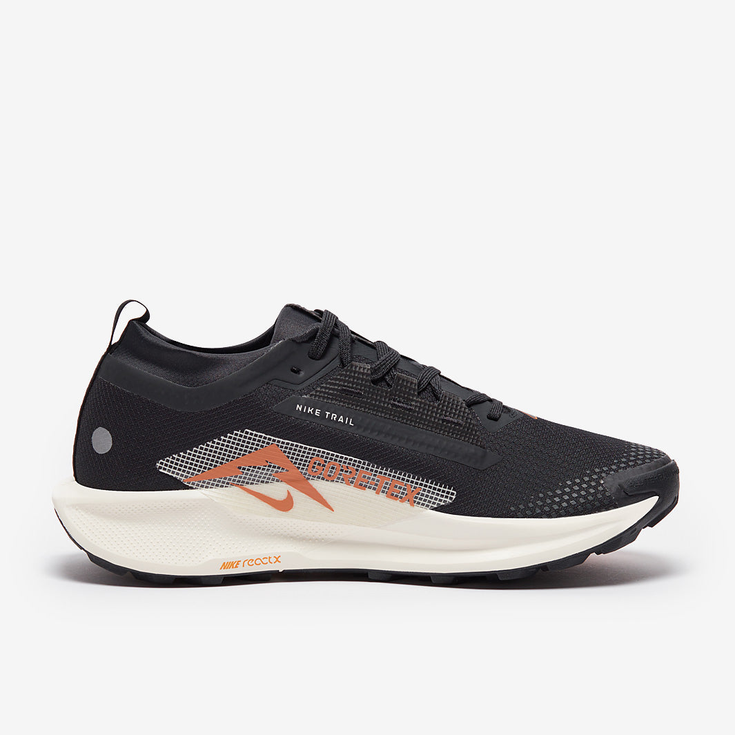 Nike Pegasus Trail 5 GORE-TEX