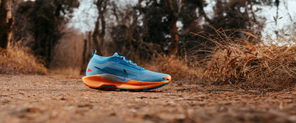 Nike Womens Pegasus Trail 5 GORE-TEX