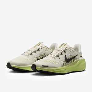 Nike Older Kids Pegasus 41 (GS)