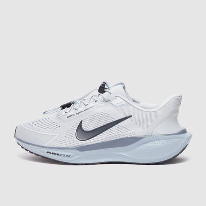 Nike Pegasus Easyon