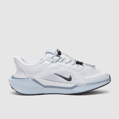 Nike Pegasus Easyon
