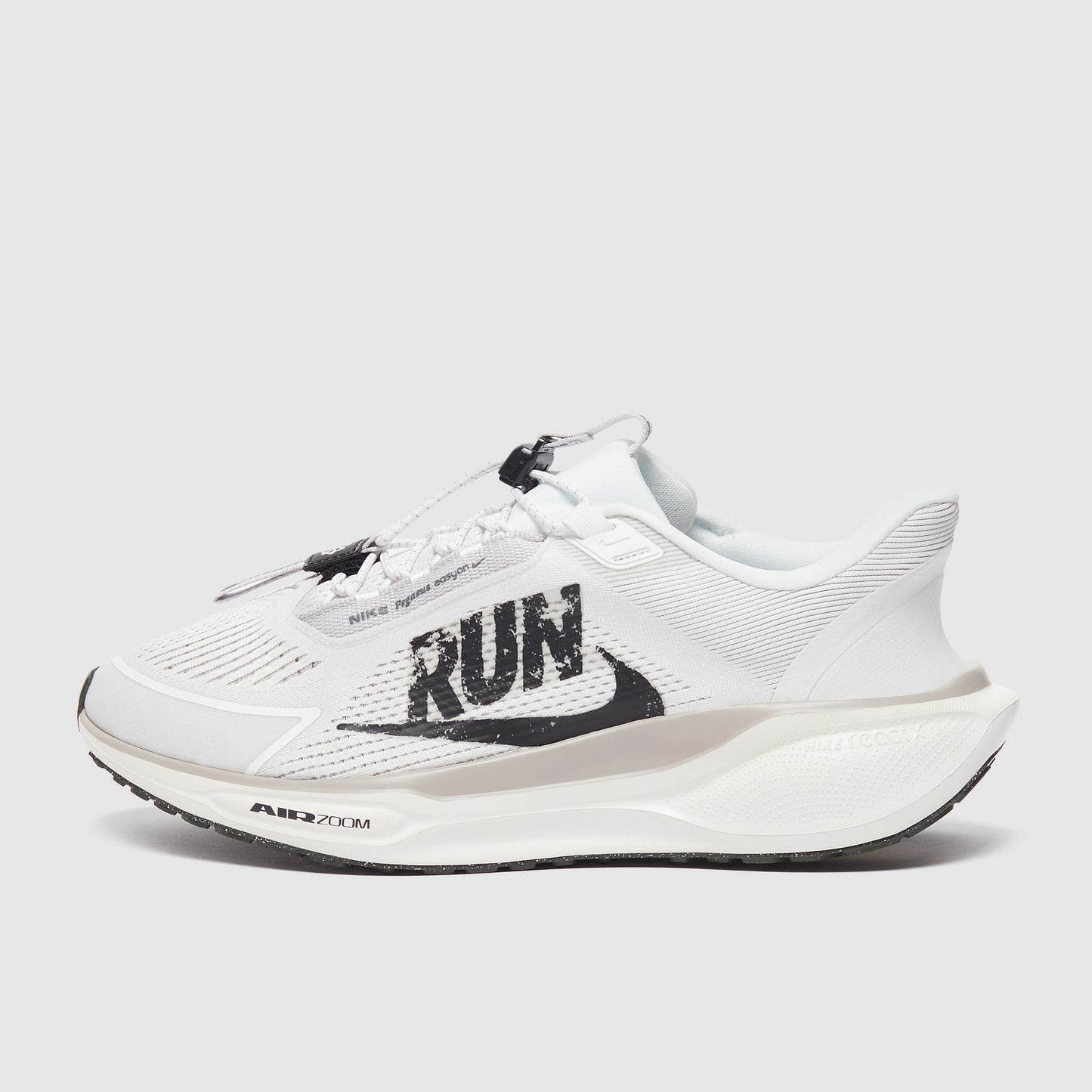 Nike Pegasus Easyon