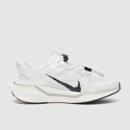 Nike Pegasus Easyon