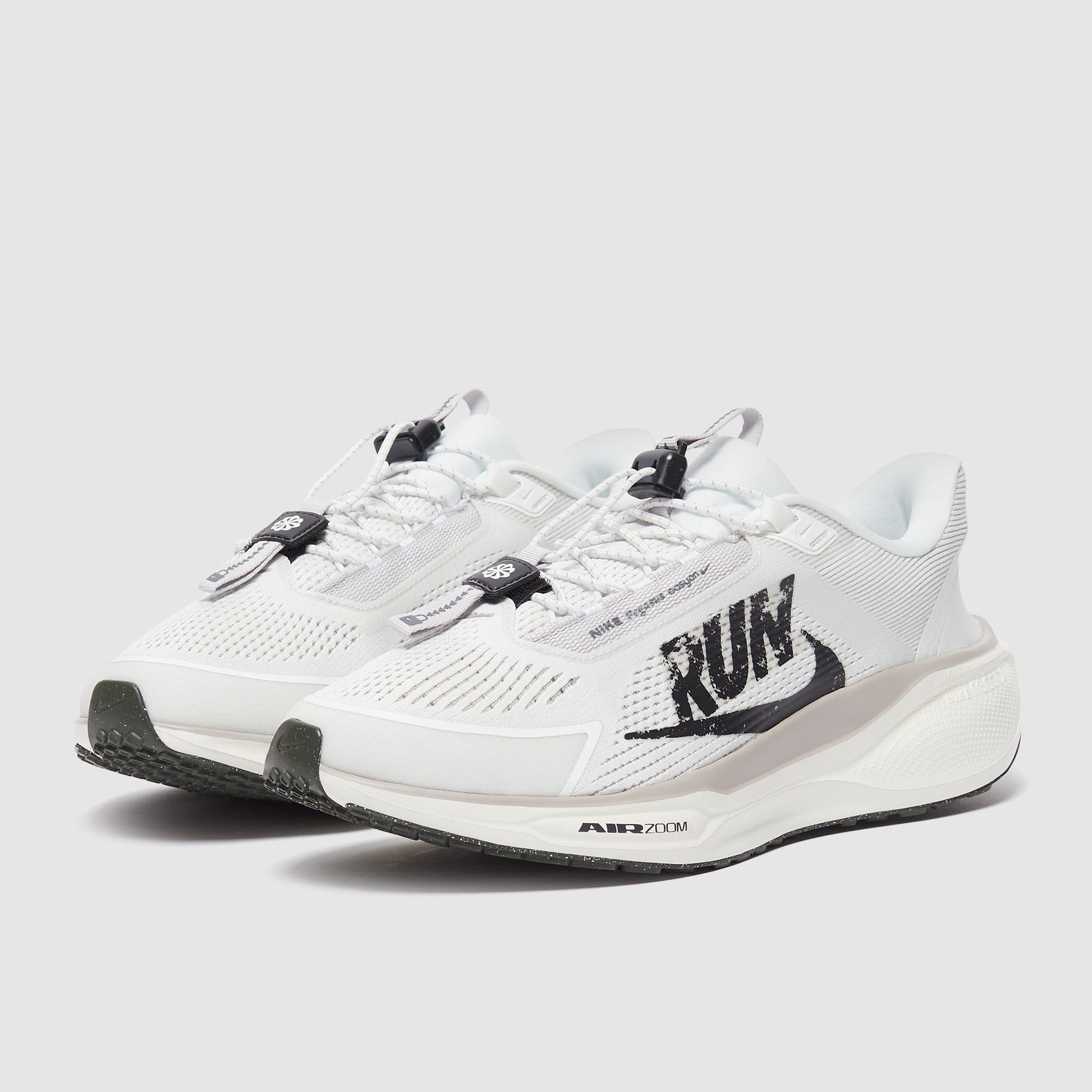 Nike Pegasus Easyon