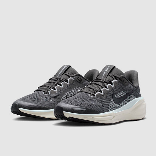 Nike Older Kids Pegasus 41 (GS)