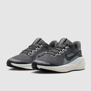 Nike Older Kids Pegasus 41 (GS)
