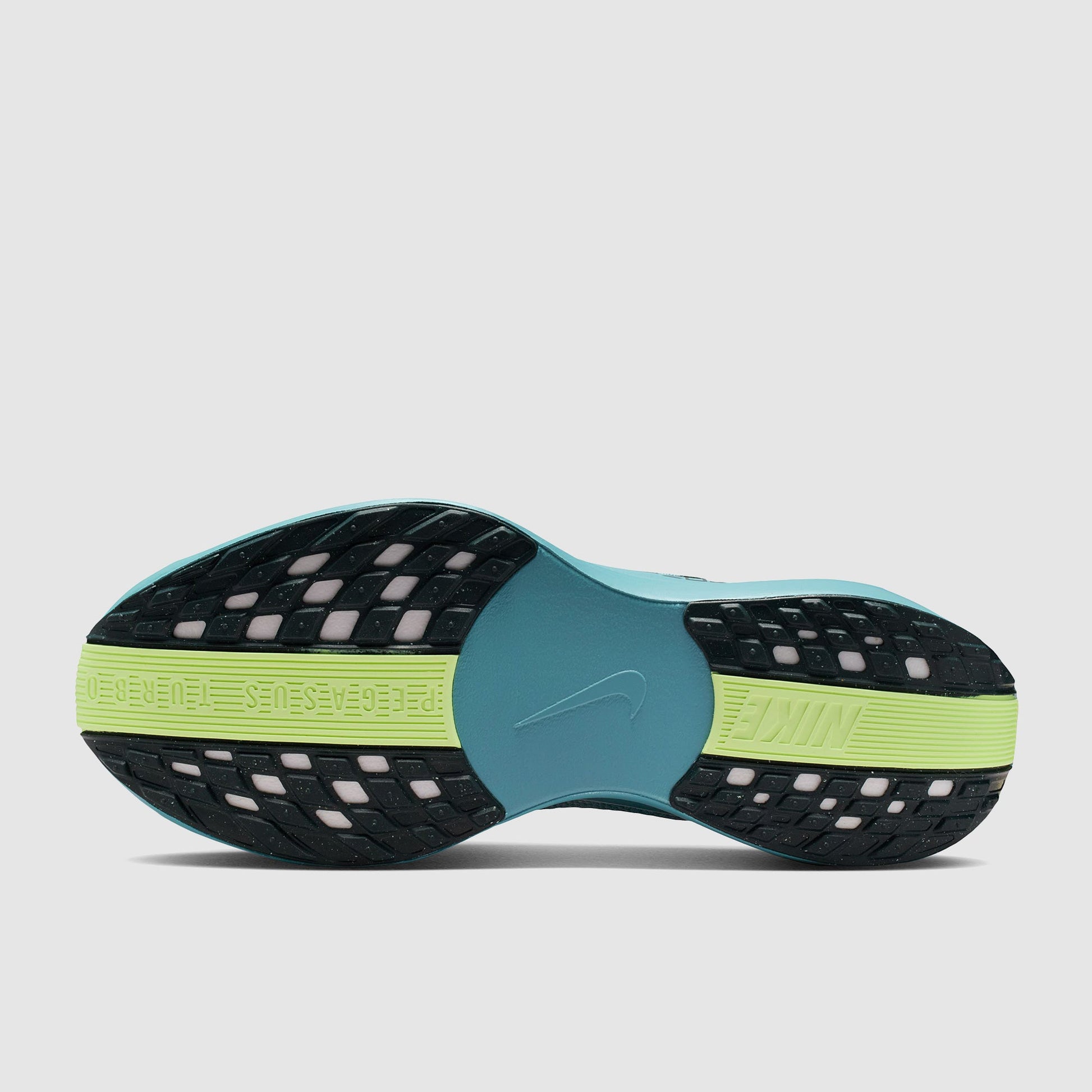 Nike Pegasus Plus