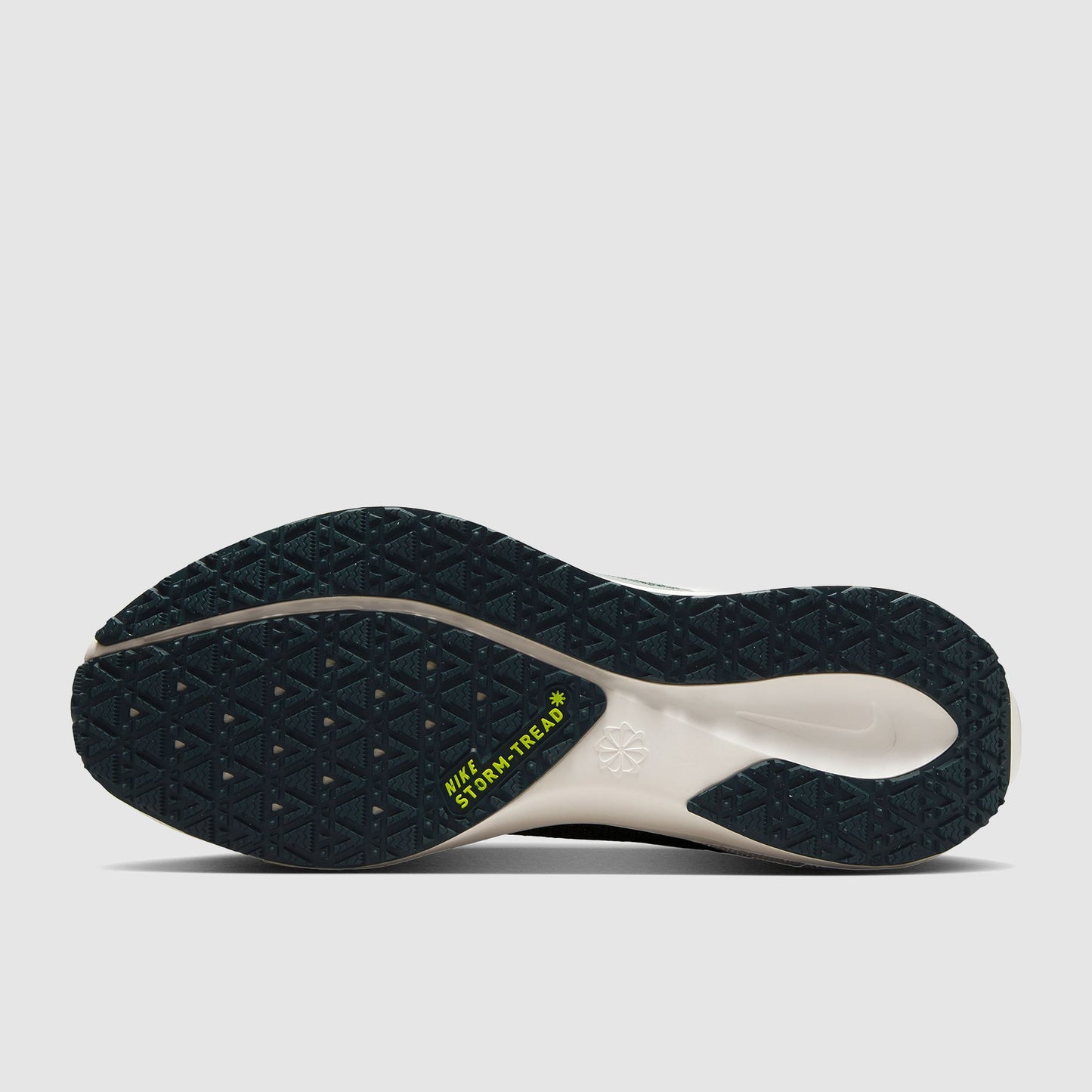 Nike Womens Pegasus 41 GORE-TEX Waterproof