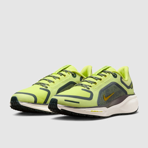 Nike Womens Pegasus 41 GORE-TEX Waterproof