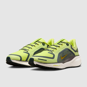 Nike Womens Pegasus 41 GORE-TEX Waterproof