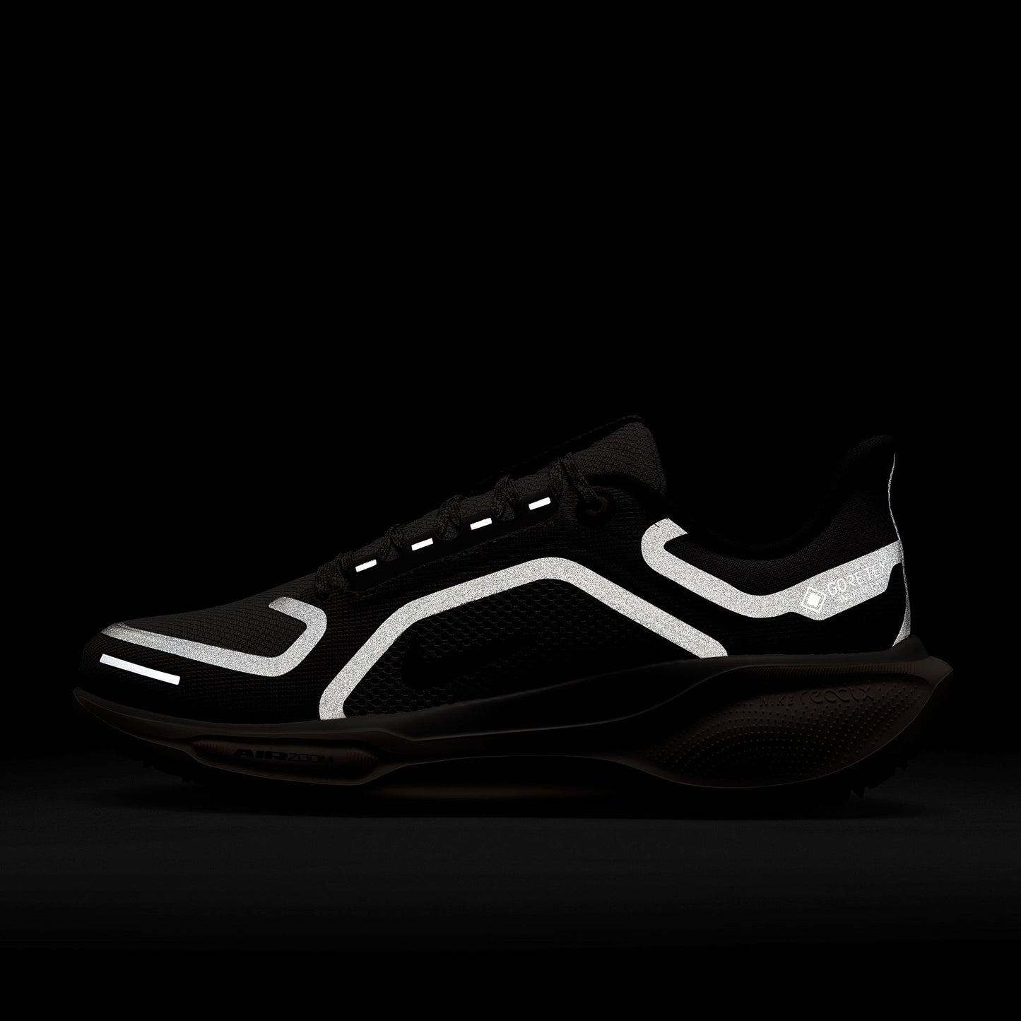 Nike Womens Pegasus 41 GORE-TEX Waterproof