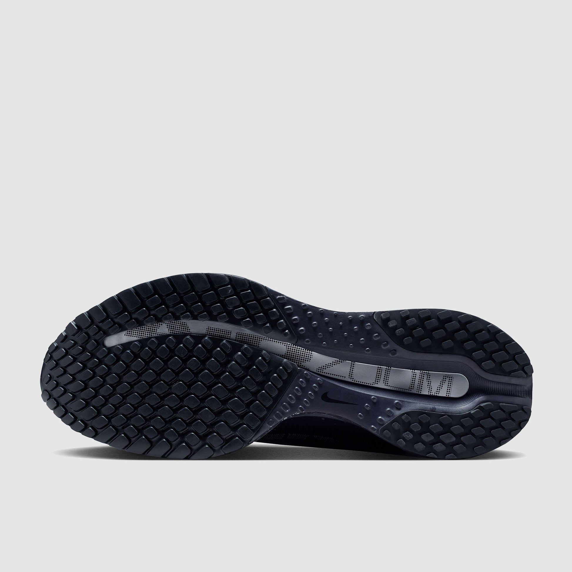 Nike Womens Pegasus Premium