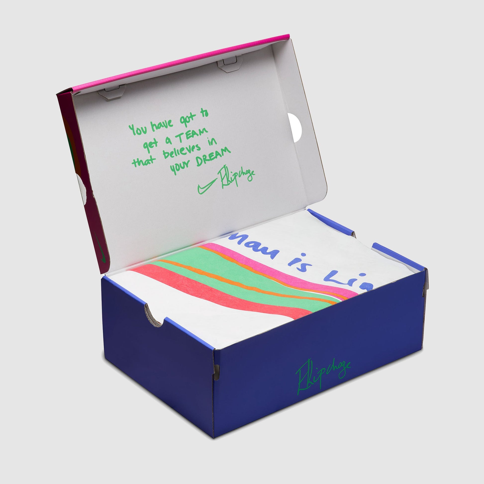 Nike Womens Eliud Kipchoge Vaporfly Next% 4