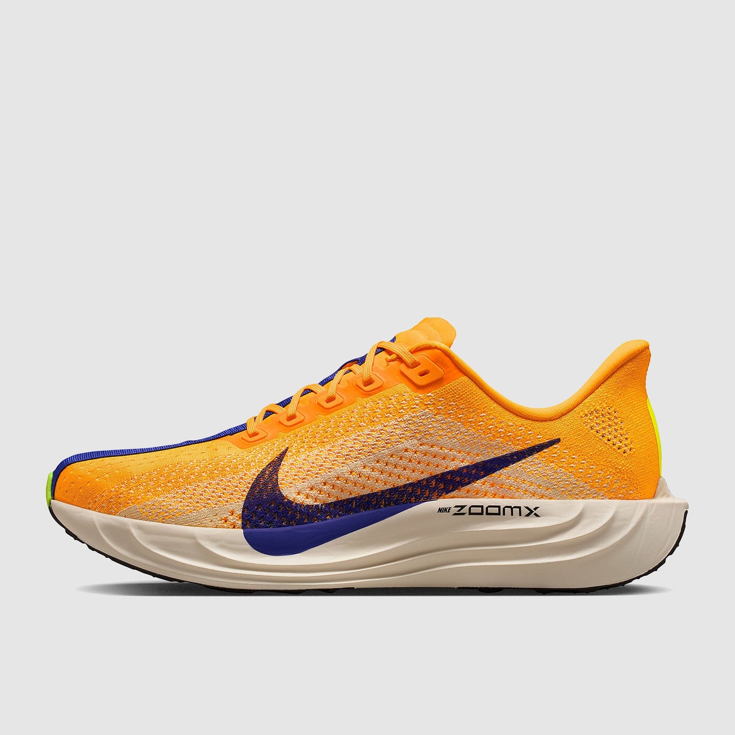 Nike Pegasus Plus