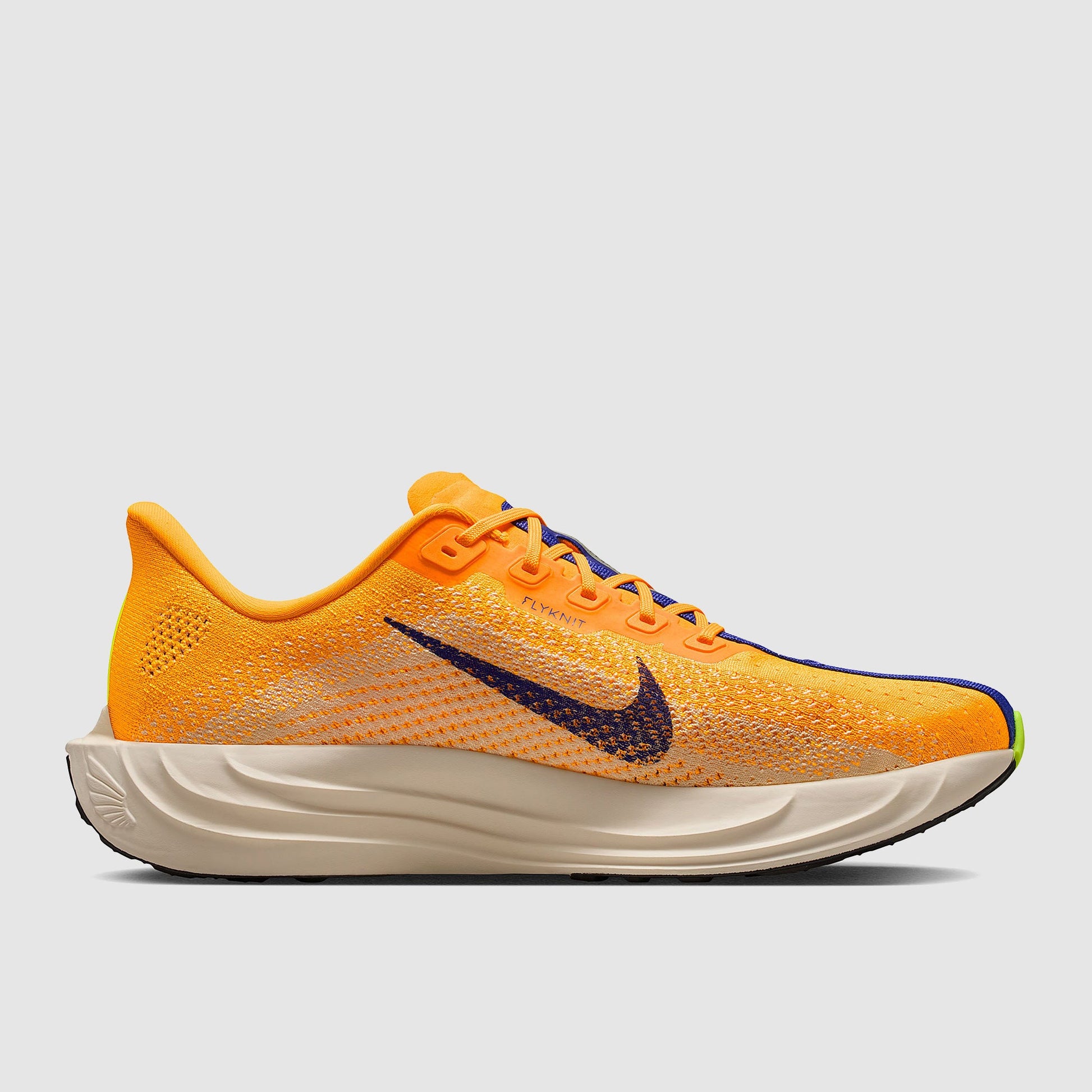 Nike Pegasus Plus