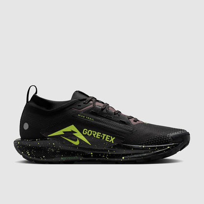 Nike Pegasus Trail 5 GORE-TEX