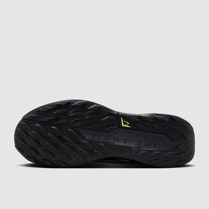 Nike Pegasus Trail 5 GORE-TEX