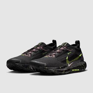 Nike Pegasus Trail 5 GORE-TEX