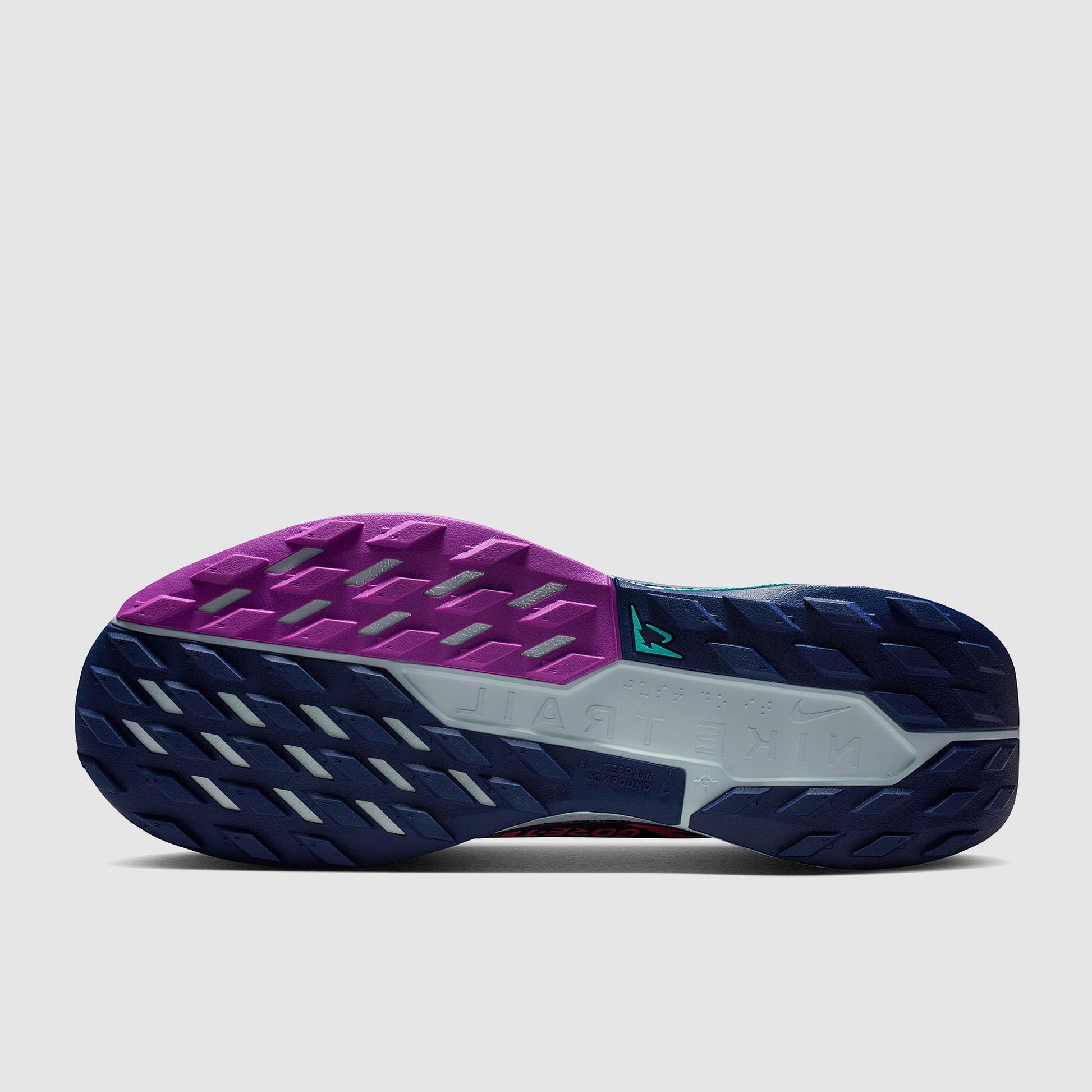 Nike Pegasus Trail 5 GORE-TEX