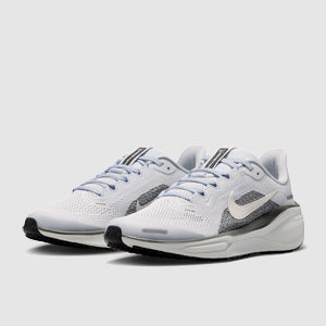 Nike Kids Pegasus 41 (GS)