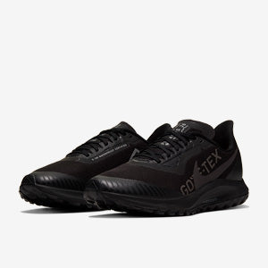 Nike Womens Pegasus 36 Trail GORE-TEX - Black/Thunder Grey