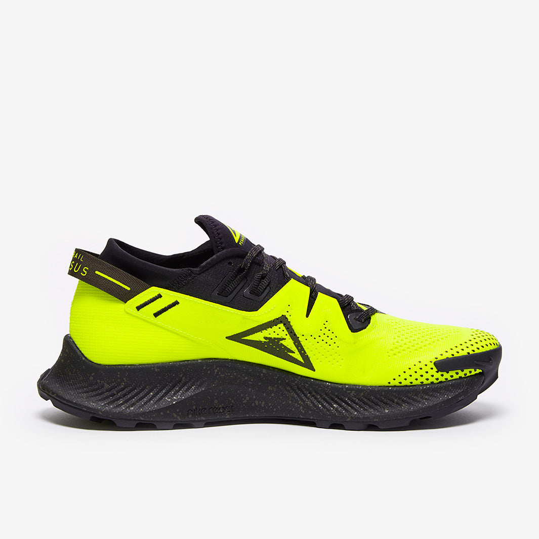 Nike Pegasus Trail 2