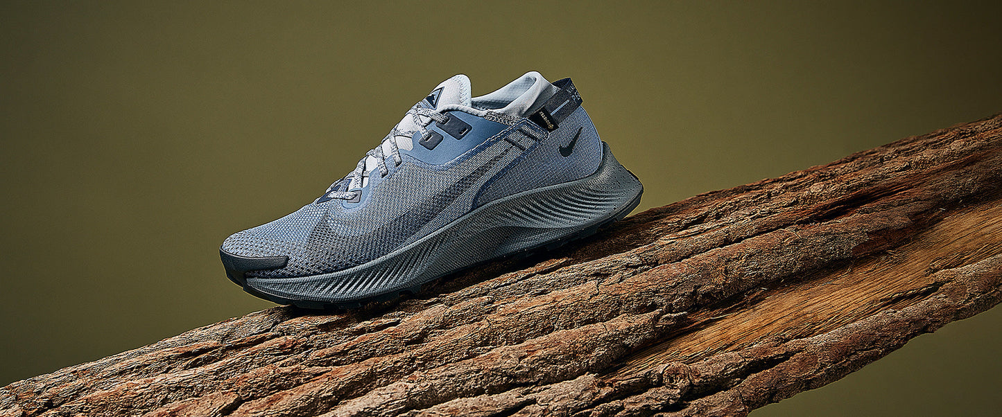 Nike Pegasus Trail 2 GORE-TEX - Ocean Fog/Obsidian