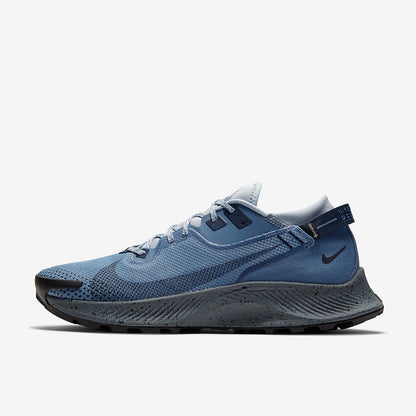 Nike Pegasus Trail 2 GORE-TEX - Ocean Fog/Obsidian