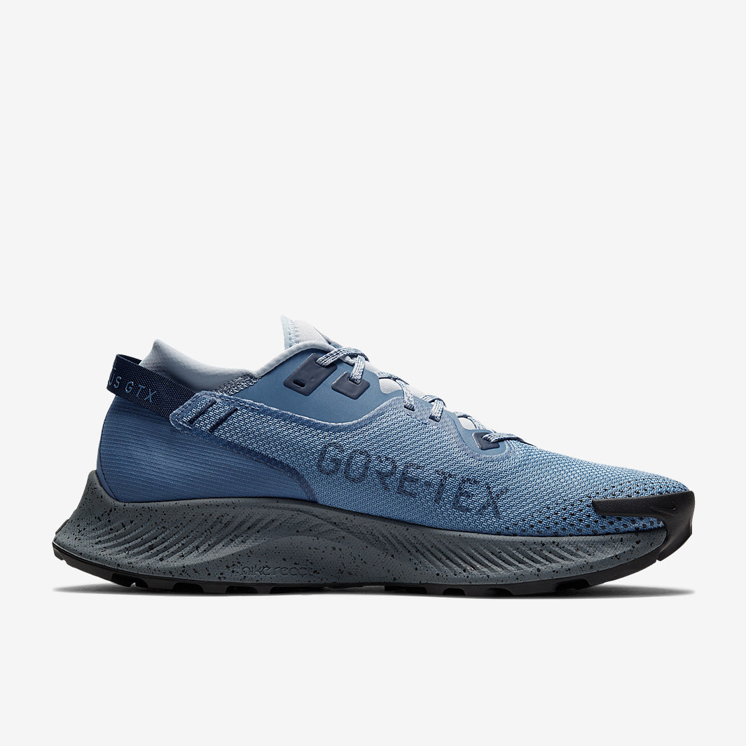 Nike Pegasus Trail 2 GORE-TEX - Ocean Fog/Obsidian