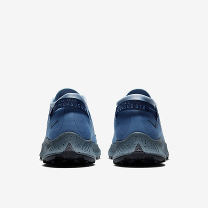 Nike Pegasus Trail 2 GORE-TEX - Ocean Fog/Obsidian