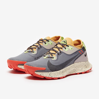Nike Pegasus Trail 2 GORE-TEX - Smoke Grey/Black-Bucktan