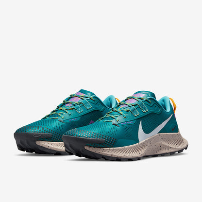 Nike Pegasus Trail 3