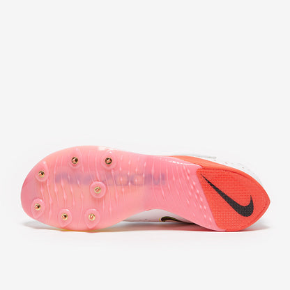 Nike Air Zoom LJ Elite