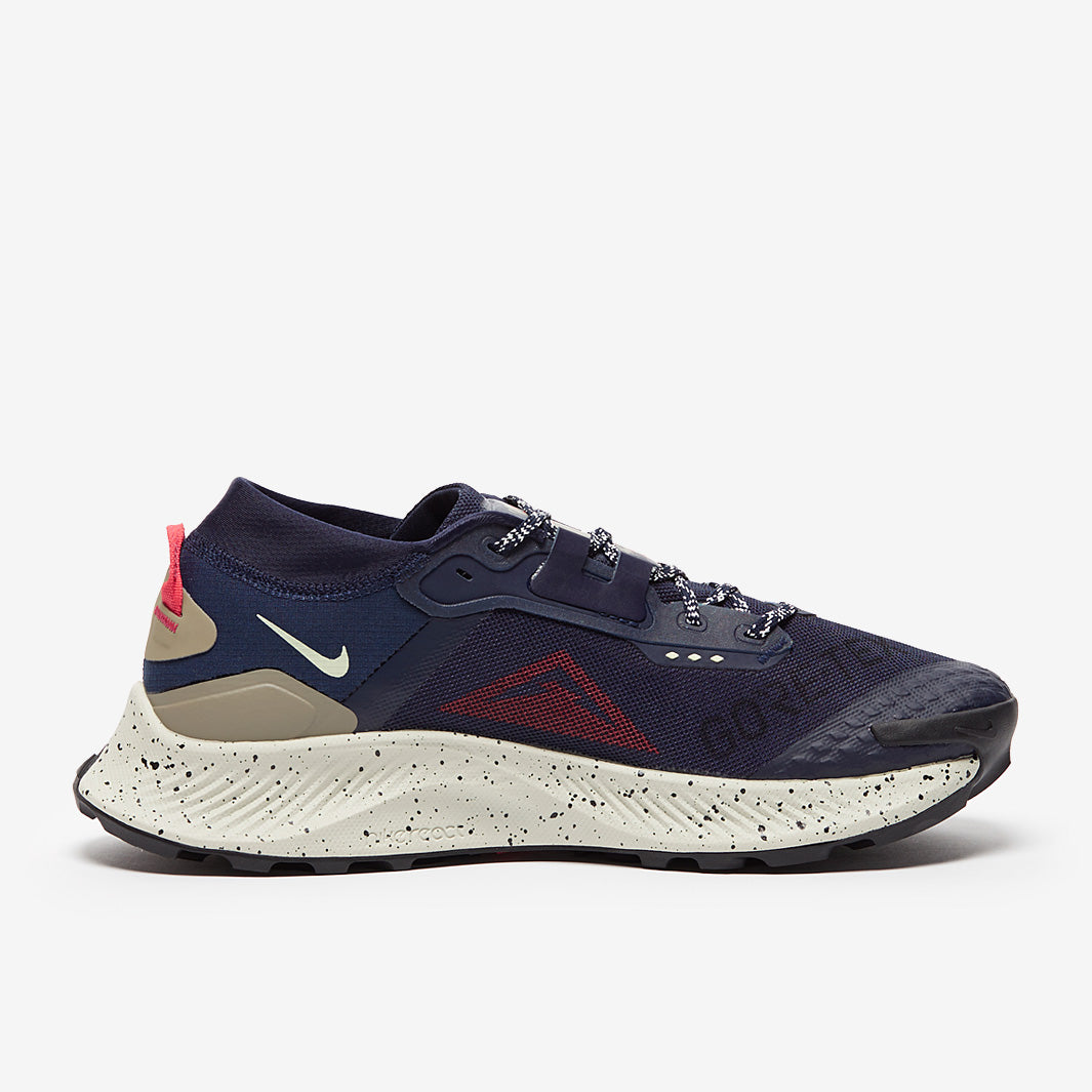 Nike Pegasus Trail 3 GORE-TEX