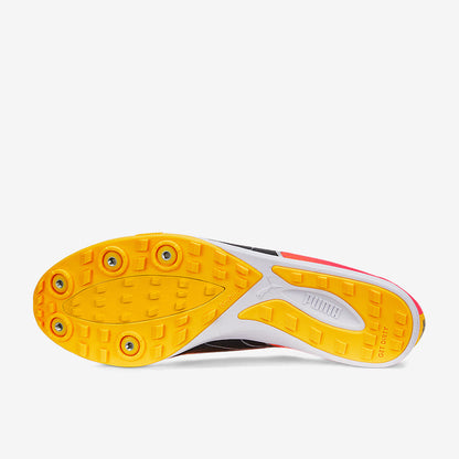 Puma evoSPEED Crossfox 4